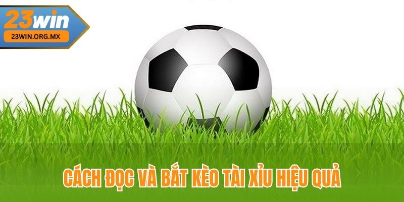Nghệ Thuật Bắt Kèo Tài Xỉu – Bí Quyết Chinh Phục Mọi Trận Đấu Cách đọc và bắt kèo tài xỉu hiệu quả