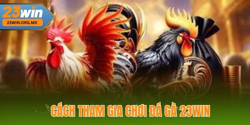 Đá Gà 23WIN - Hành Trình Từ Bước Đầu Tiên Đến Đỉnh Cao Chiến Thắng Cách Tham Gia Chơi Đá Gà 23WIN