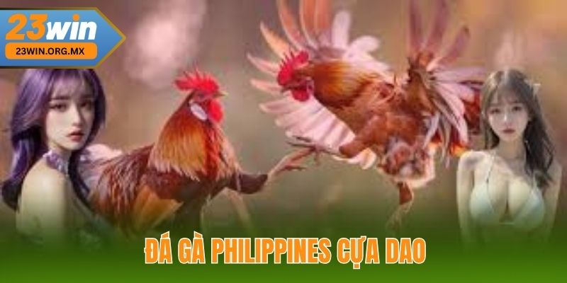 Đá Gà Philippines Cựa Dao: Chiến Thuật Đỉnh Cao Để Chiến Thắng Đá gà Philippines cựa dao tại 23WIN