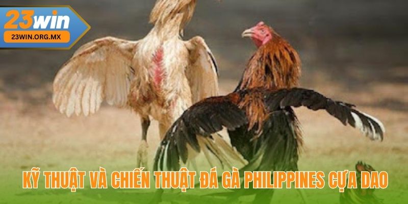 Đá Gà Philippines Cựa Dao: Chiến Thuật Đỉnh Cao Để Chiến Thắng Kỹ thuật và chiến thuật đá gà Philippines cựa dao
