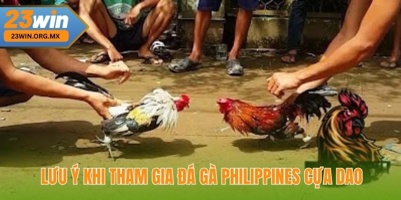 Đá Gà Philippines Cựa Dao: Chiến Thuật Đỉnh Cao Để Chiến Thắng Lưu ý quan trọng khi tham gia đá gà Philippines cựa dao