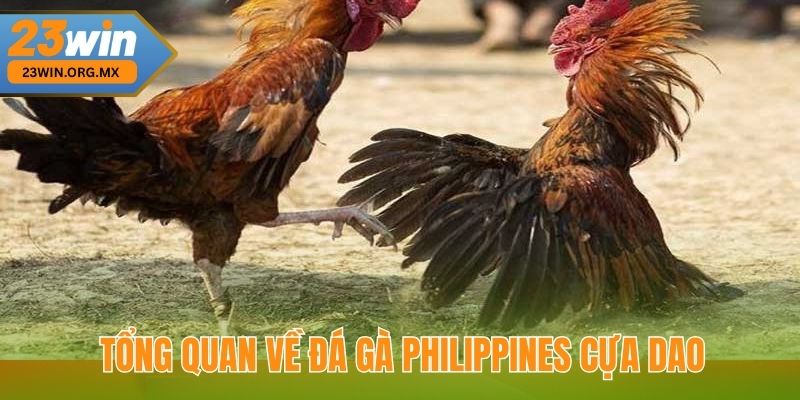 Đá Gà Philippines Cựa Dao: Chiến Thuật Đỉnh Cao Để Chiến Thắng Tổng quan về đá gà Philippines cựa dao tại 23Win